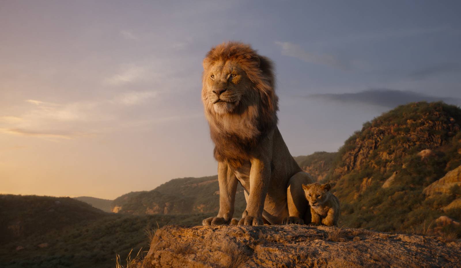 Leví kráľ (2019) - fotografie
