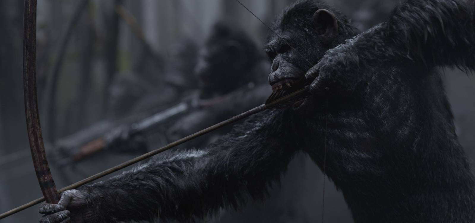 Vojna o planétu opíc (2017) - fotografie