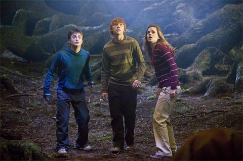 Harry Potter a Fénixov rád (2007)