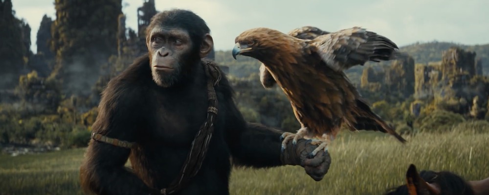 Film Kráľovstvo planéty opíc (2024)