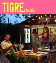 film Tigre v meste (2011)
