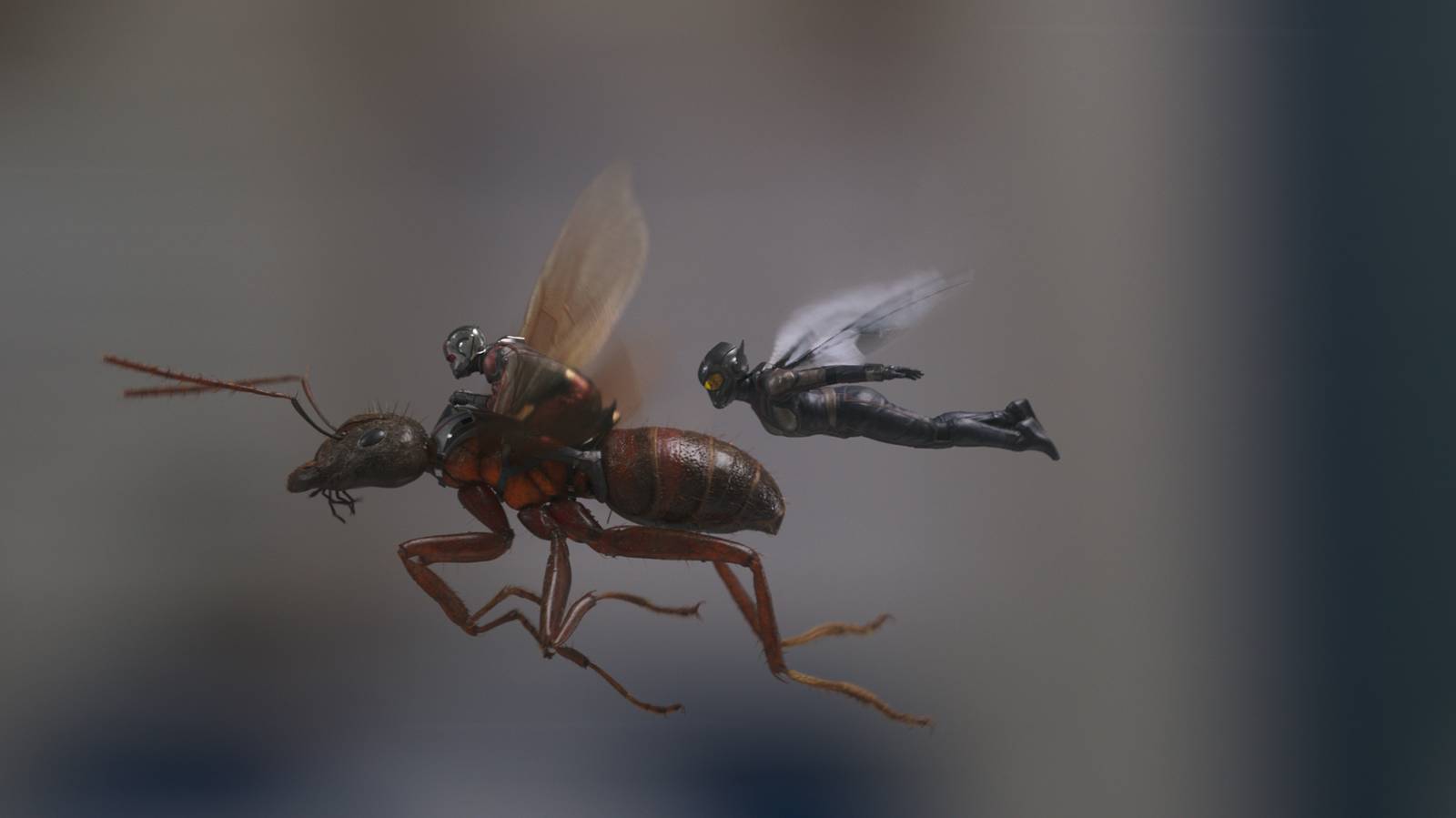 Film Ant-Man a Wasp (2018)