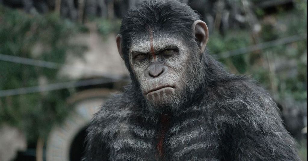 Film Úsvit planéty opíc (2014)
