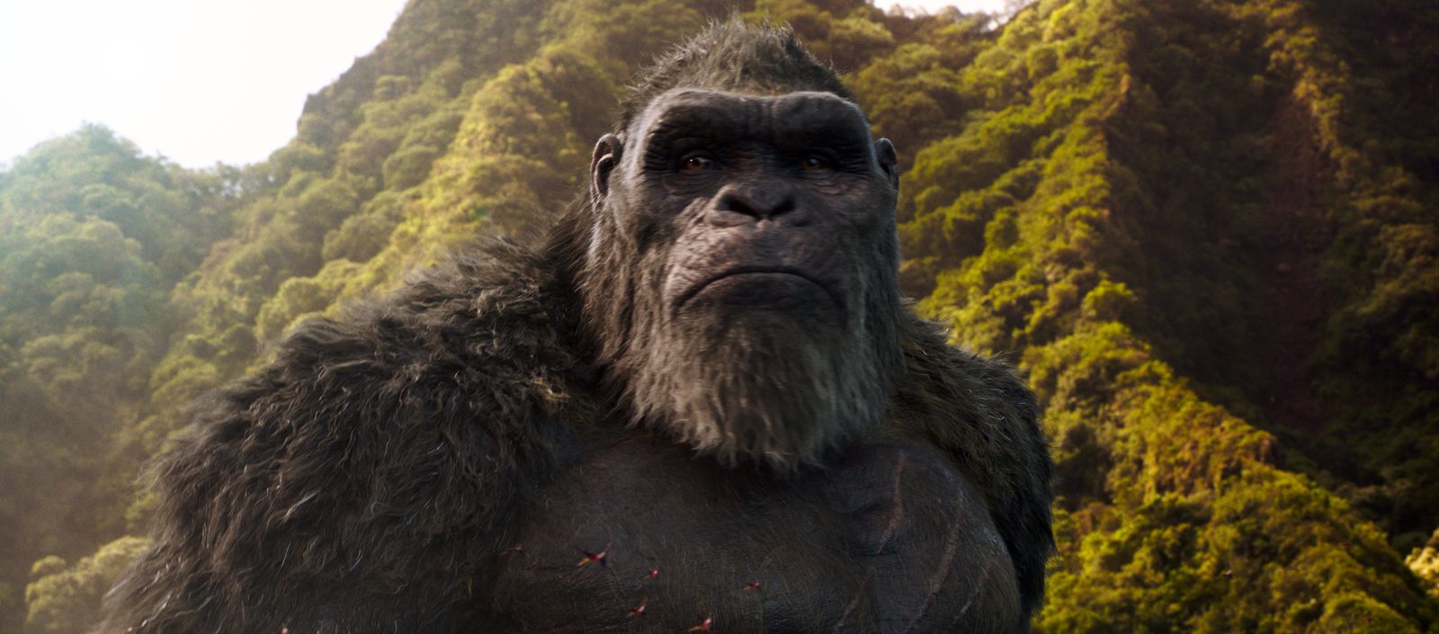 Godzilla vs. Kong (2020) - fotografie