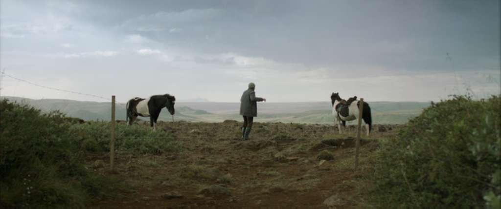 O koňoch a ľuďoch (2013) - fotografie