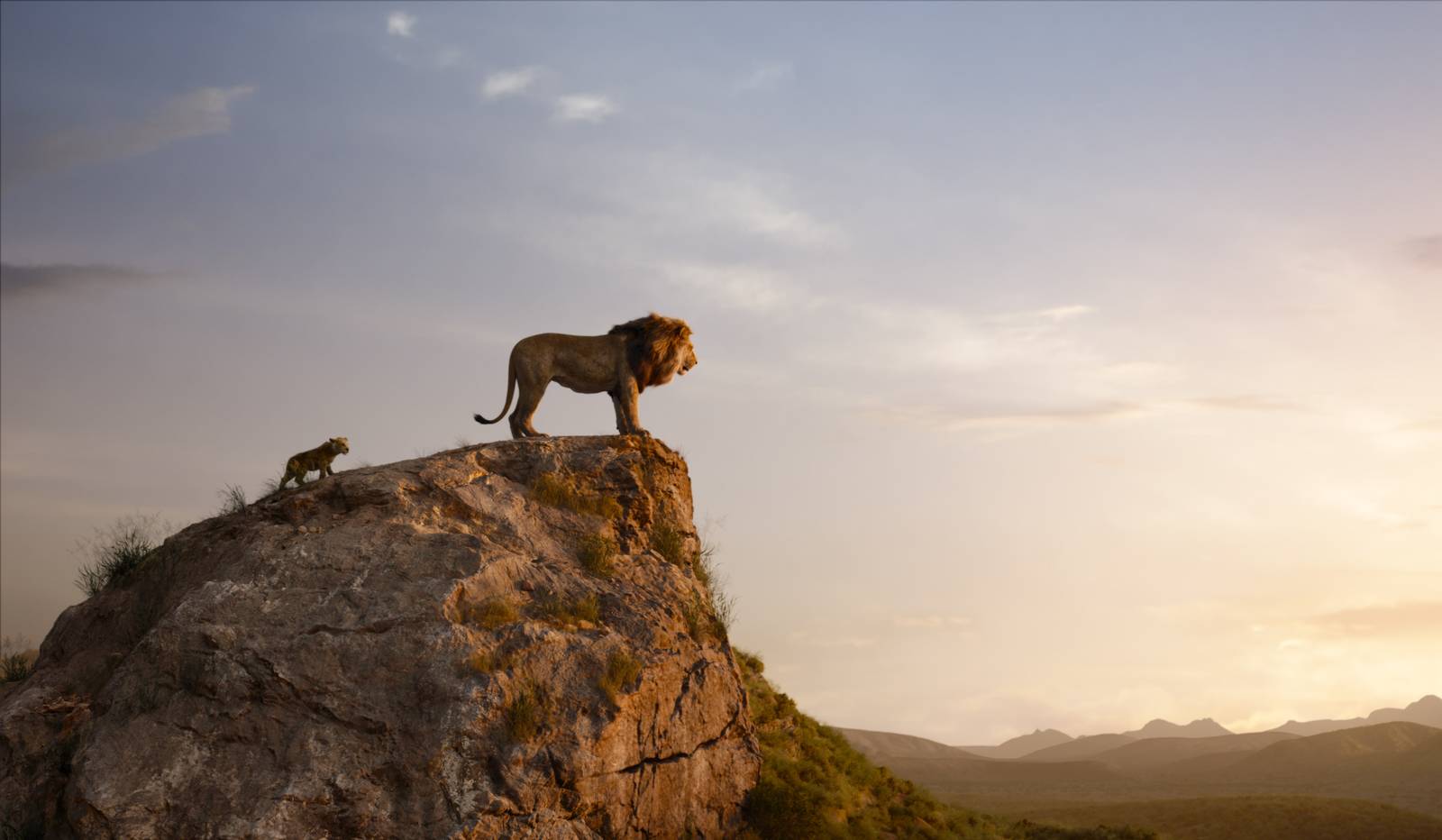 Leví kráľ (2019) - fotografie