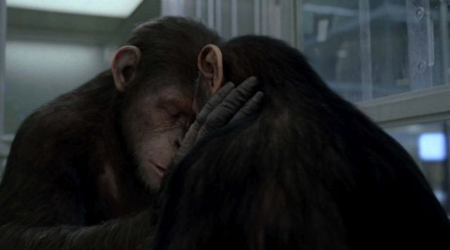 Zrodenie planéty opíc (2011) - fotografie