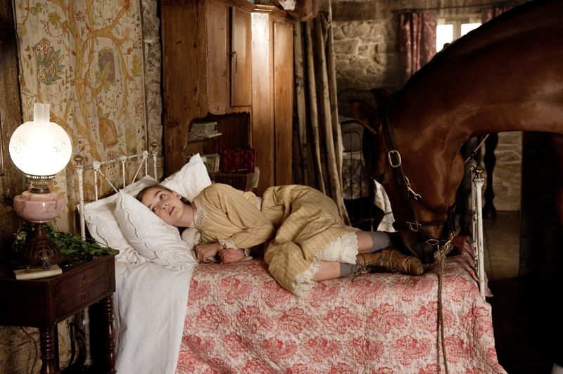Vojnový kôň (2011) - fotografie