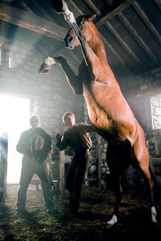 Film Vojnový kôň (2011)