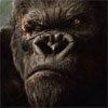 Vyšli nové trailery k filmom Kong: Ostrov lebiek, La La Land, The Zookeeper´s Wife, či Jackie
