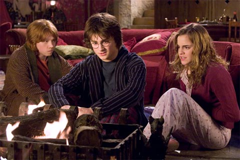 Emma Watson sa preslávila v úlohe Hermiony vo filmovej sérii Harry Potter